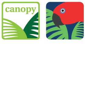 Rainforest Rescue Canopy Club